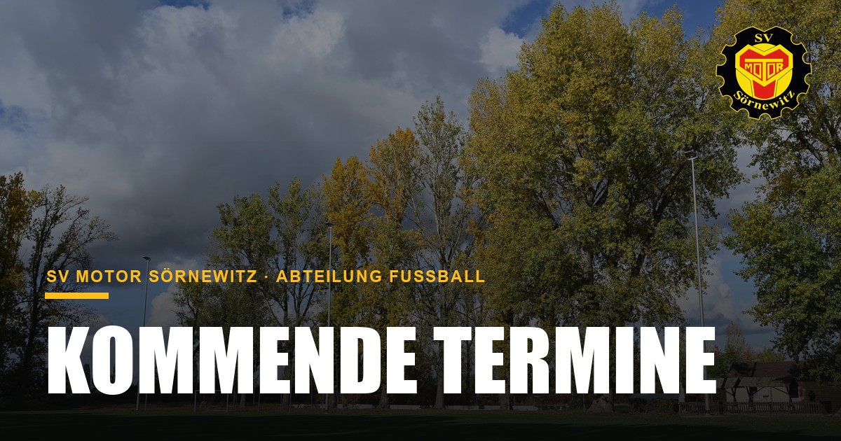 Kommende Termine: Testspiele der Männer & Fußballcamp